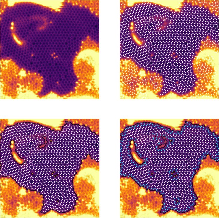 Atom segmentation in an amorphous carbon STEM image