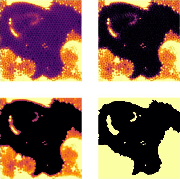 Contamination segmentation in an amorphous carbon STEM image